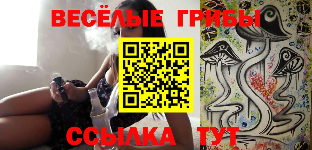 Электрогорск  Галлюциногенные грибы GOLDEN TEACHER  Вход с VPN  Галлюциногенные грибы ЛСД 