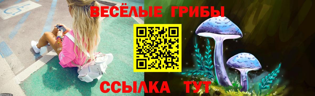Псилоцибиновые грибы Psilocybine cubensis Электрогорск